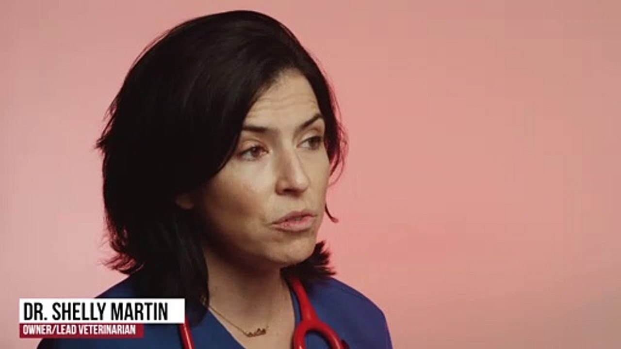 Veterinary Dermatology | Tucson, AZ | Desert Paws Mobile Veterinary Care