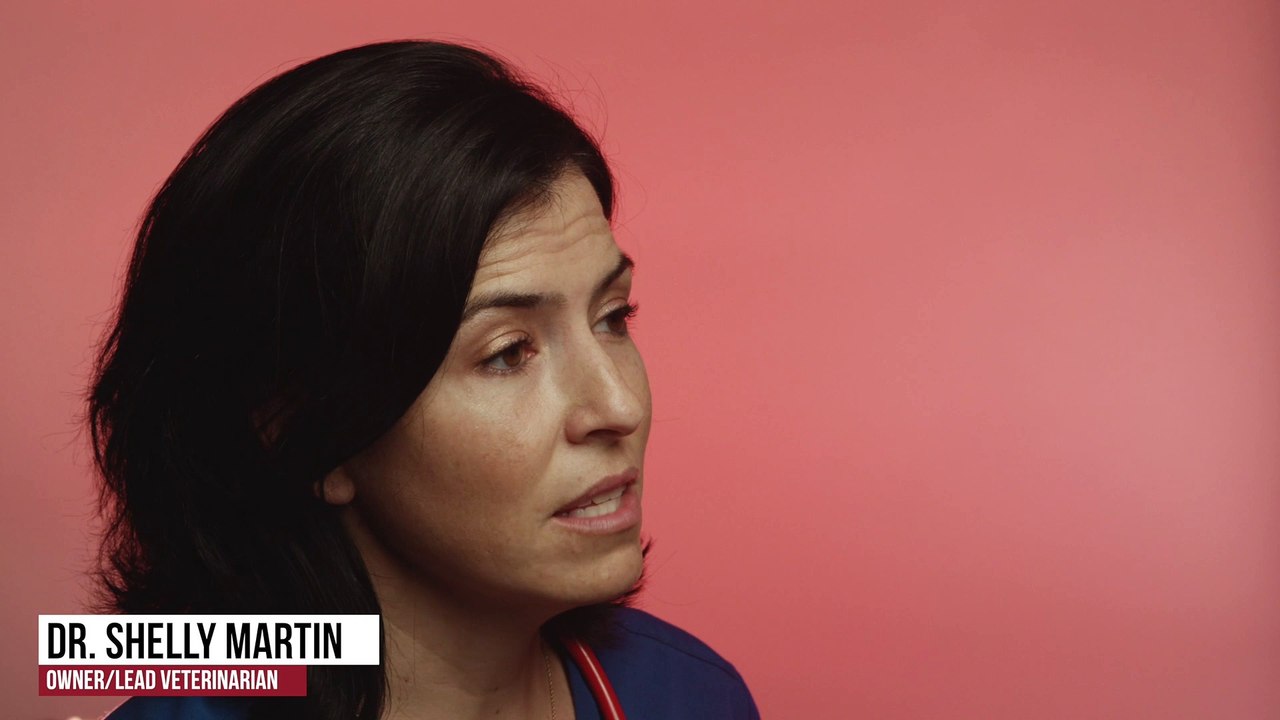 Veterinary Diagnostics | Tucson, AZ | Desert Paws Mobile Veterinary Care