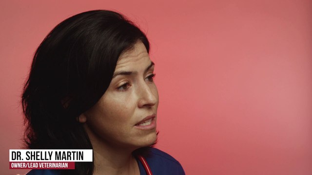 Veterinary Diagnostics | Tucson, AZ | Desert Paws Mobile Veterinary Care