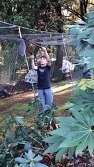 Guy Helps Squirrel Tangled in Fence