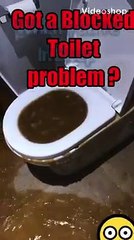Blocked toilet ? Dont wait till you’re ‘In Deep’ to