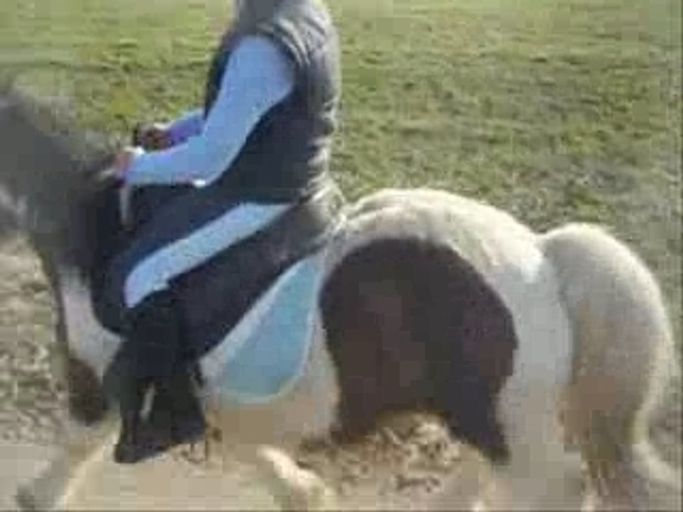 Horse et me