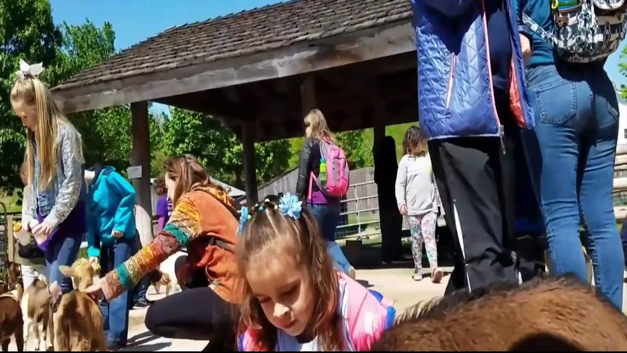 The Funniest Animals Meet The Cutest Kids - Cute Babies and Pets Video Compilation| Mini Media