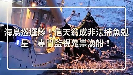 petmao_curation-petsmao.nownews|petmao_curation_mobile-copy4-20200313-09:30