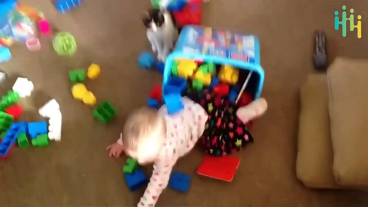 Funny Animal Fails Compilations  