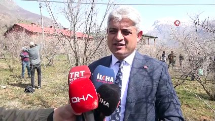 Bitlis ekonomisine katkı sunan nar ağacının budamasına başlandı