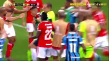 COPA LIBERTADORES grosse bagarre entre Gremio et internacional