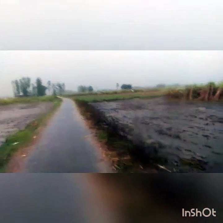 शाहजहांपुर: मौसम ने ली करवट, फसलों पर छाए संकट के बादल