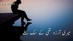 New pakistani Drama WhatsApp Status - Sad Pakistani Status song