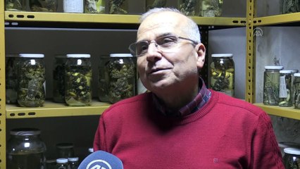 Yılan Müzesi'ni ziyaret edenler sürüngen korkularını yeniyor - AYDIN