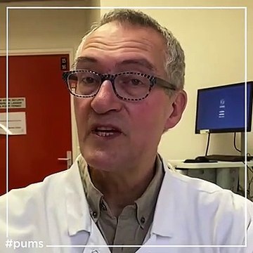 Animaux domestiques, chiens, chats...Peuvent-ils être contaminés par le coronavirus ?