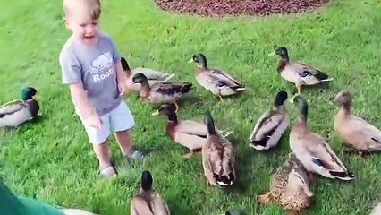 Funny Babies by All in One Entertainment