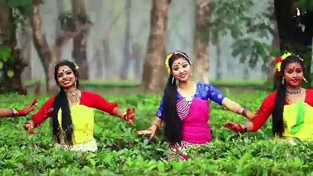 বারো মাসে তেরো ফুল ফোটে নাচের ভিডিও HD video
