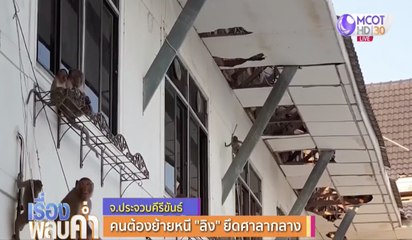 คนต้องย้ายหนี "ลิง" ยึดศาลากลาง