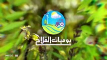 يوميات الفلاح - 13/03/2020