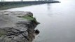 कैराना: यमुना नदी का जलस्तर बढ़ा, कटान शुरू