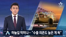 입국 못해 발 동동…“수출 의존도 높은 한국 기업 취약”