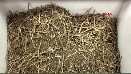 Kayseri'de aktarlarda koronavirüs yoğunluğu