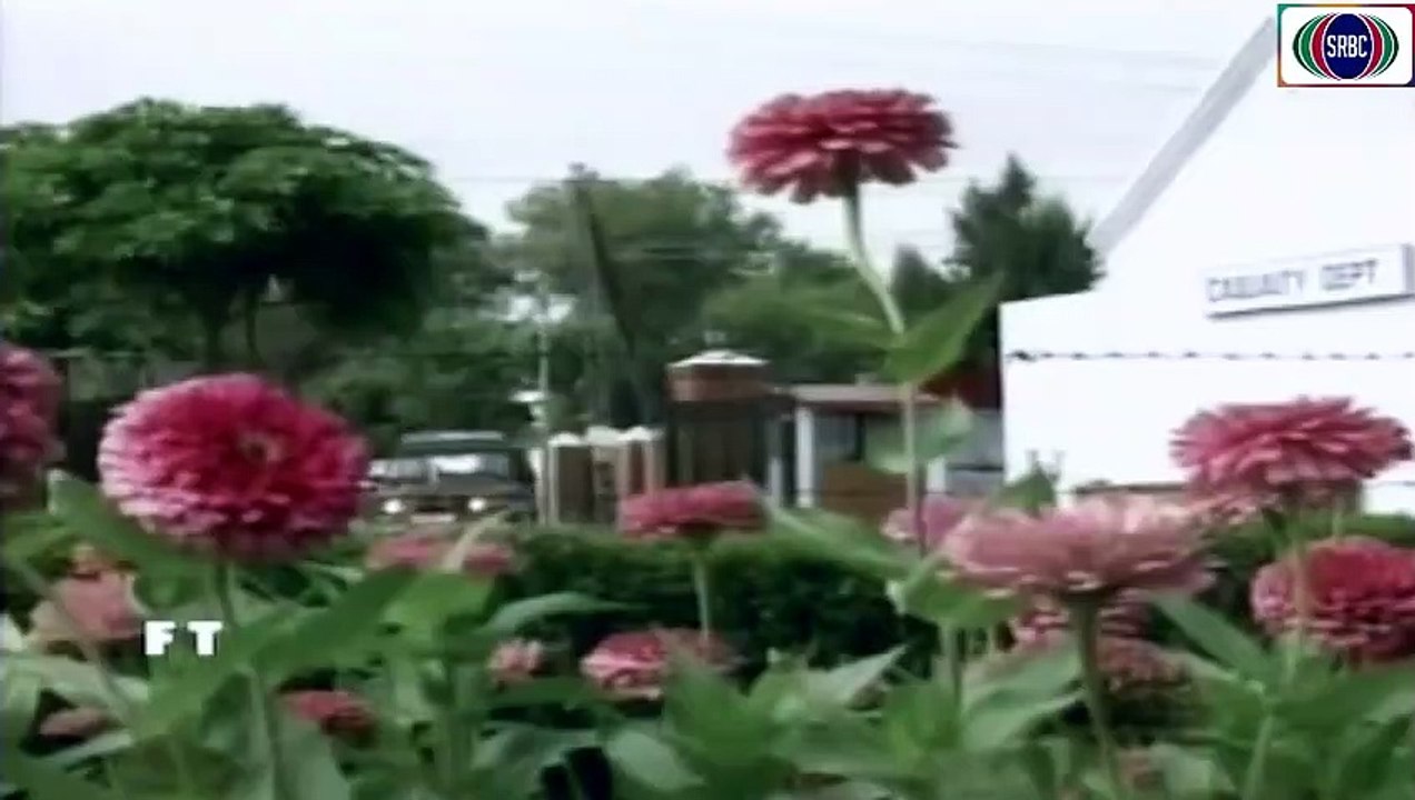 Alpha Bravo Charlie Episode 11 _ M Qasim Khan _ Abdullah Mehmood _ Shahnaaz Khawaja _ Faraz Inam ( 480 X 480 )