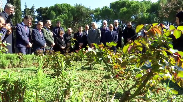 Prof. Dr. Beril Dedeoğlu, vefatının birinci yılında kabri başında anıldı - İSTANBUL