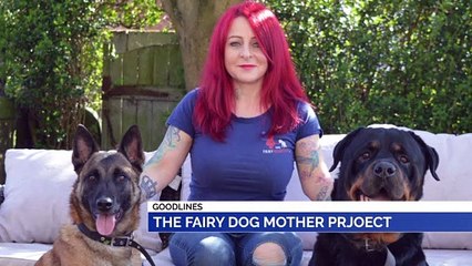 GOODLINES: 14th March 2020