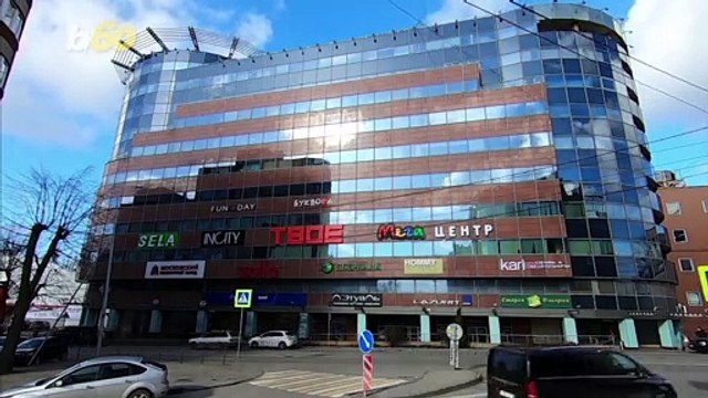 This Very Loyal Dog Waits and Waits Outside His Owner’s Office Each Day