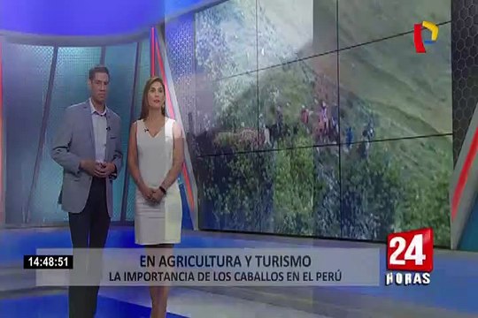 Los caballos de carga y su importancia en el desarrollo turístico