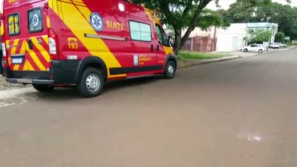 Mulher é atacada por abelhas no Bairro Country e Siate foi acionado