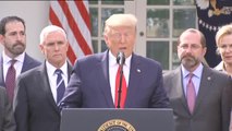 Trump declara la Emergencia Nacional en Estados Unidos