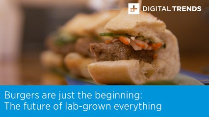 Burgers are just the beginning: The future of lab-grown everything
