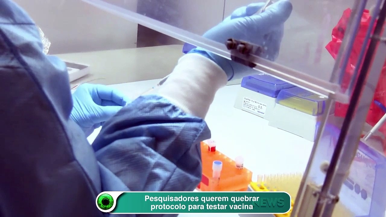 Pesquisadores querem quebrar protocolo para testar vacina