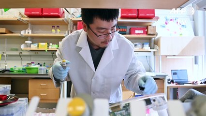 Brasil tem primeiros casos de transmissão comunitária