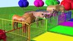 Animales de la Granja -h sonidos de animales para niños
