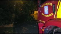 Caminhão colide contra árvore e Bombeiros são chamados para fazer poda dos galhos, no Nova Cidade