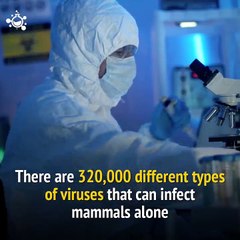 Top 10 Deadliest Viruses on Earth