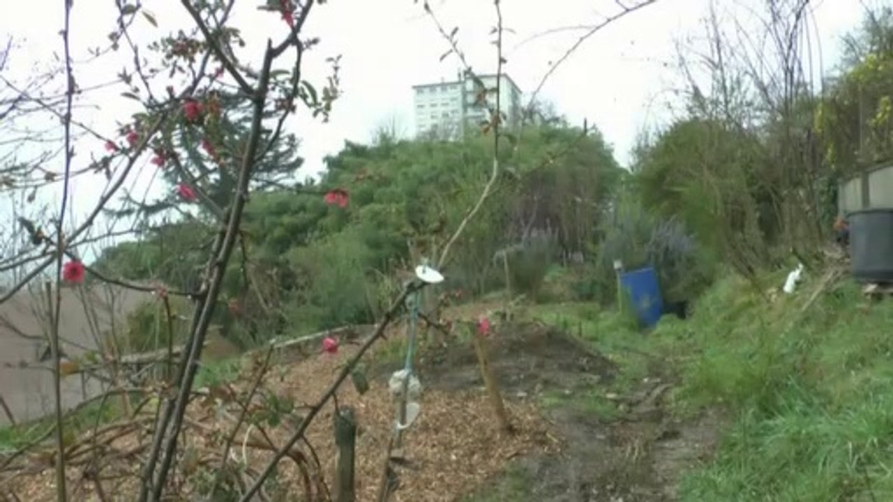 LES W-D.D. MICHOU NEWS - 12 MARS 2020 - PAU - L'ALLÉE EST TERMINÉE AU FOND DU JARDIN DE L'Ave DU STADE NAUTIQUE