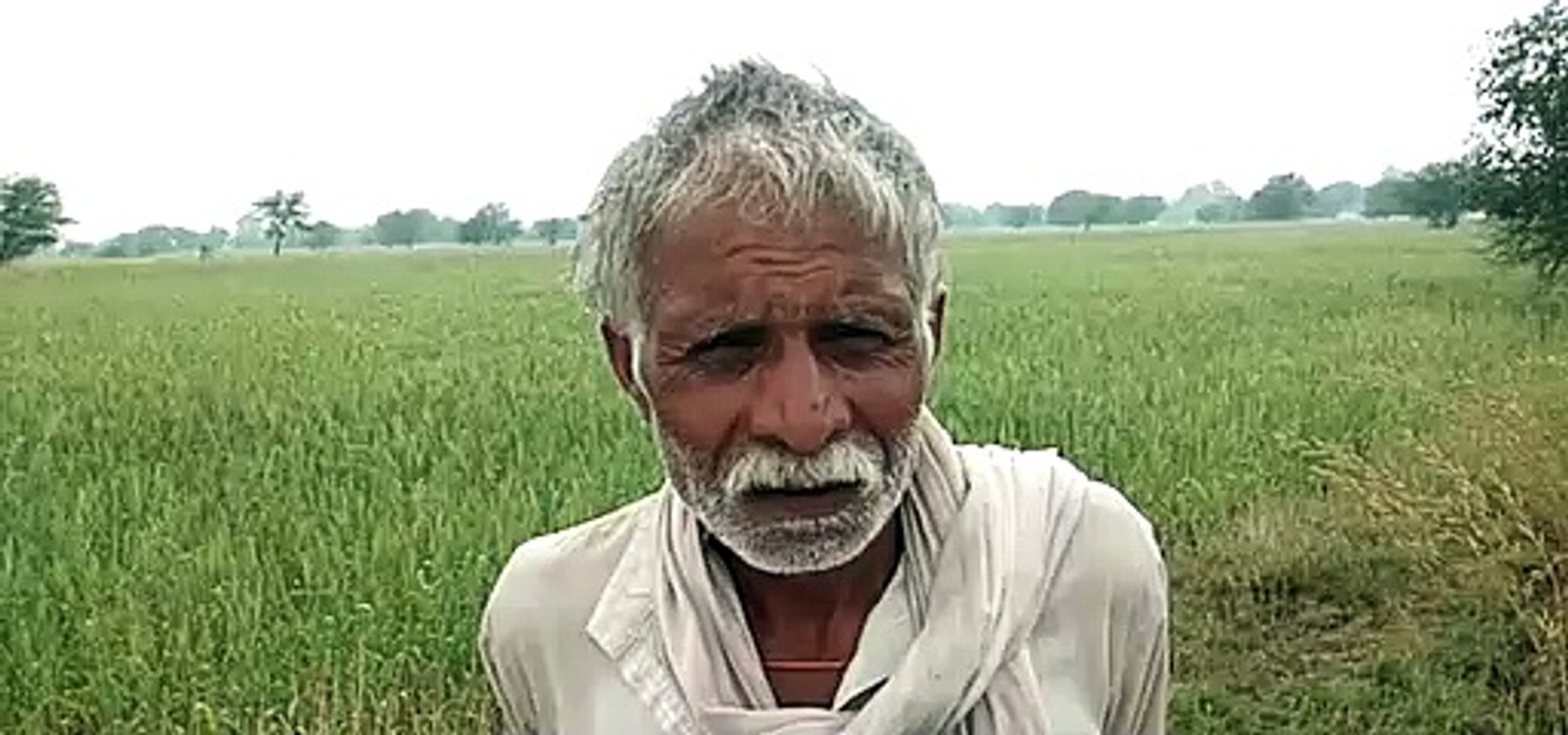 बांदा: बबेरू, अतर्रा, नरैनी में ओले पड़ने से किसानों की फसलें बर्बाद