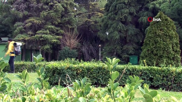 Sokak hayvanları için gezerek 1 haftada 2.5 ton mama dağıttı