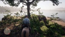 Red Dead Redemption 2 Online Localización de Objetos Colección de Perlas del Mar (Nuevas Ubicaciones de la colección)