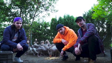 Lil Frakk - Lúdtalp