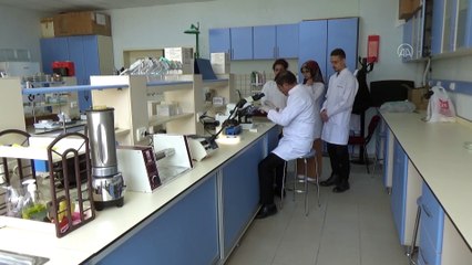 Prof. Dr. Karaman: 'Beslenme ve temizlik kurallarına uyulduğu takdirde koronavirüs korkutucu değil' -TOKAT