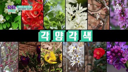 ☆2년만에 닥터지바고 재회! 방송인 이상벽의 뇌건강은?