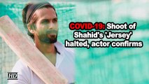 COVID-19: Shoot of Shahid's 'Jersey' halted, actor confirms