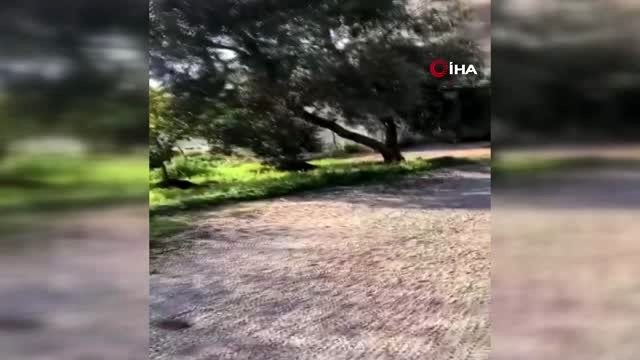 Antalya'da müstakil ev alev topuna döndü, mahalleli büyük panik yaşadı