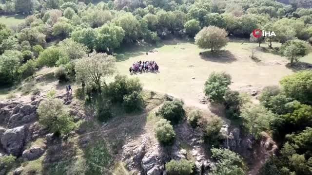 Sokak hayvanları için gezerek 1 haftada 2.5 ton mama dağıttı
