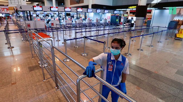 Affamée par le coronavirus, une foule de singes thaïlandais se bat en pleine rue