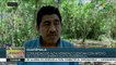 Guatemala: emprenden hidroeléctrica comunitaria en Alta Verapaz