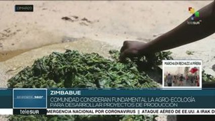 Campesinos de Zimbabue apuestan por escuela de agroecología
