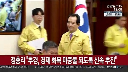 정 총리 "추경, 경제회복 마중물 되도록 신속 추진"