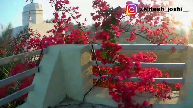 Holi festival celebration at Churu Rajasthan India |Vlog | part 2 !!!feat Nitesh joshi